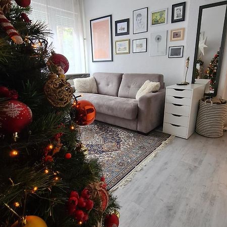 באניה לוקה Peni Apartman Centar מראה חיצוני תמונה